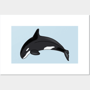 Orca - Cartoon Posters and Art